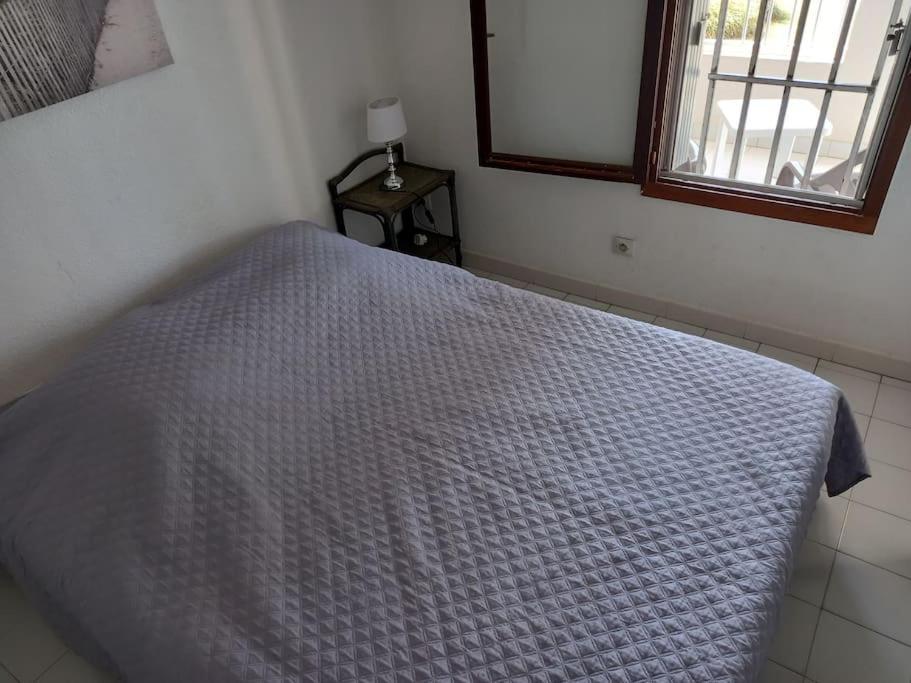 Amouvera C14, T2 Vue Mer, Piscine, Clim, Parking Agde Zewnętrze zdjęcie