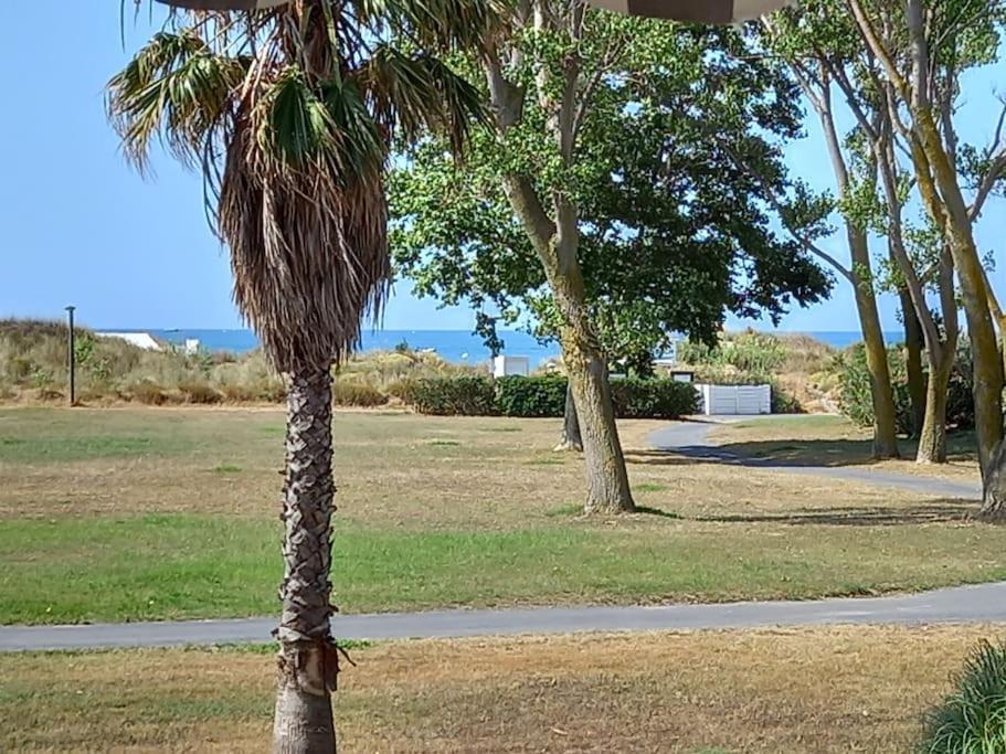 Amouvera C14, T2 Vue Mer, Piscine, Clim, Parking Agde Zewnętrze zdjęcie